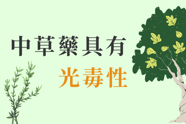 中草藥具有光毒性